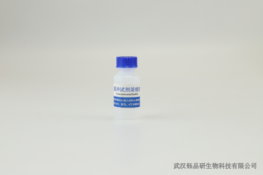 食品中毒真菌毒素限量标准最新动态，2025 更新解读​