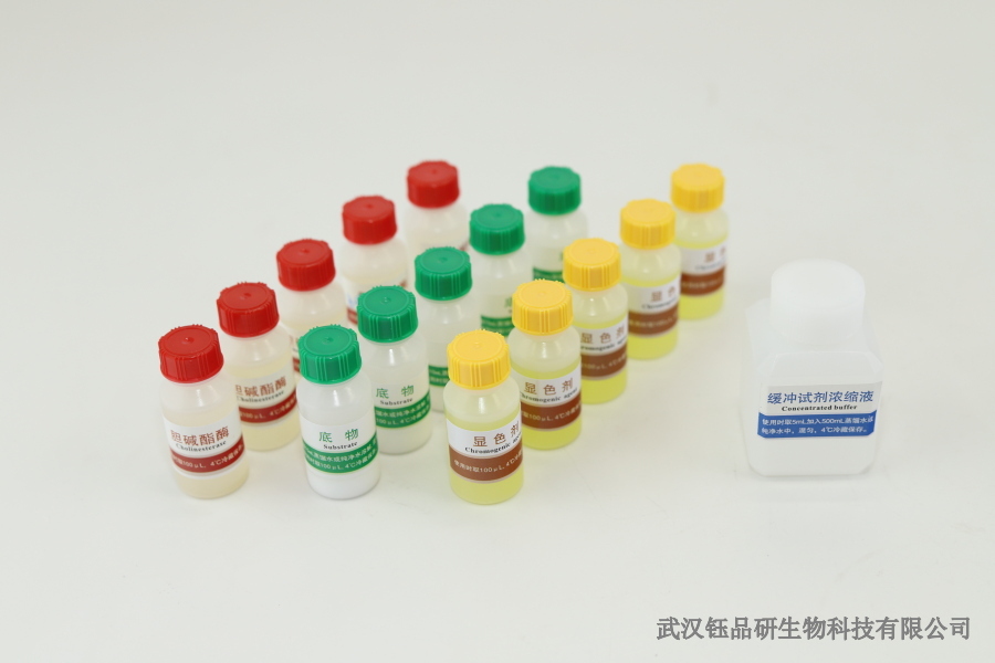 高效氯氟氰菊酯检测新选择：胶体金试纸条检测原理全知道​