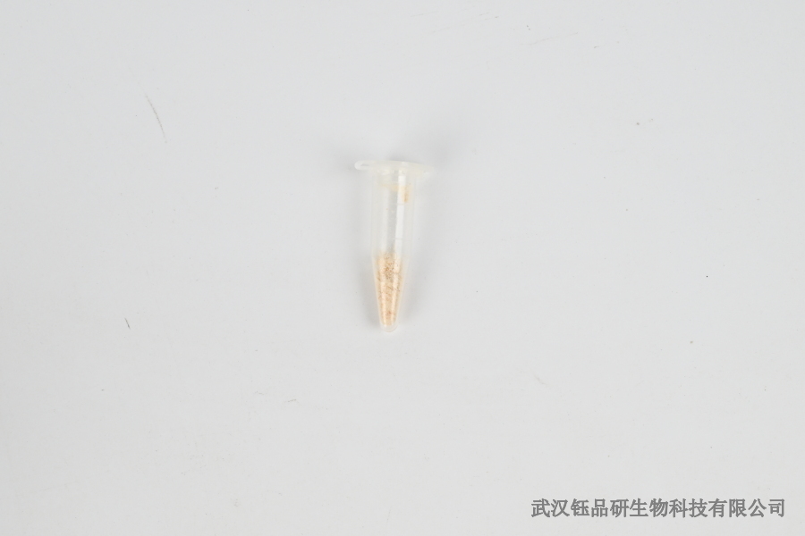 噻虫胺水体残留：浓度分布、降解与环境影响​