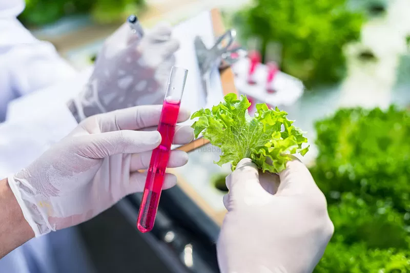 农药残留胶体金检测卡（二甲戊灵）