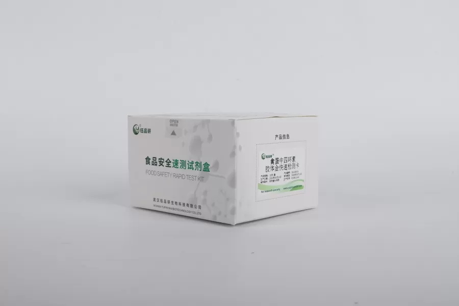 环境水体（饮用水 / 污水）微生物快速检测技术方案：兼顾效率与准确性