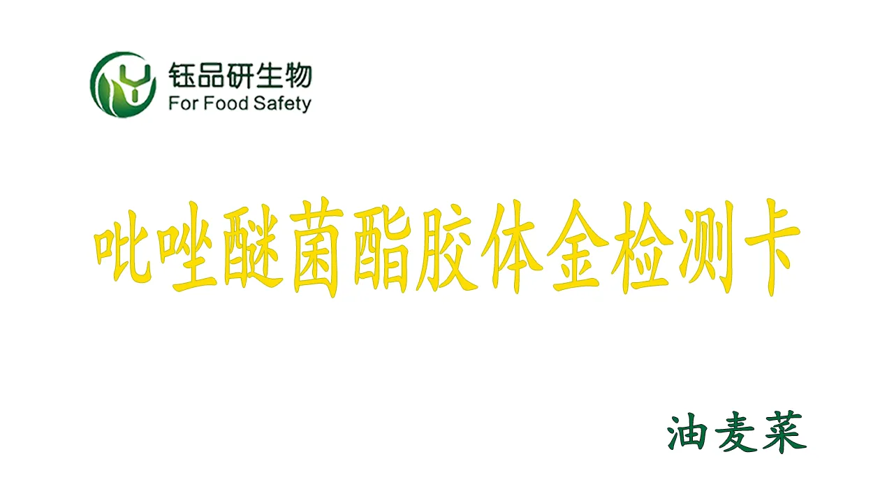 油麦菜吡唑醚菌酯农残快筛：胶体金检测卡操作全流程