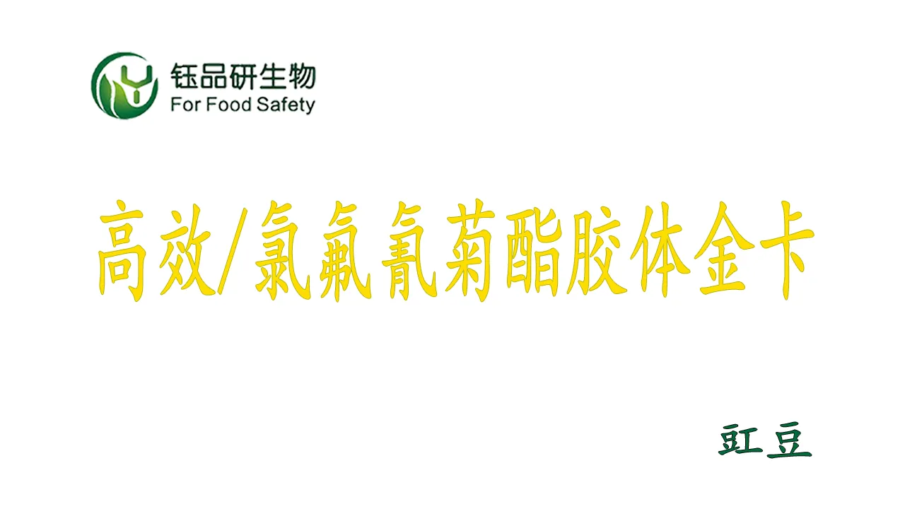 氯氟氰菊酯胶体金检测卡怎么用?豇豆农残检测实操演示
