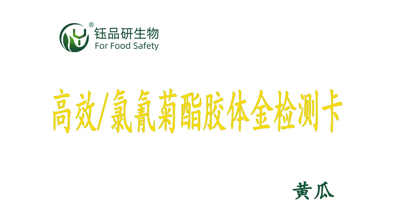 氯氰菊酯胶体金检测卡黄瓜操作视频水果蔬菜农残质检